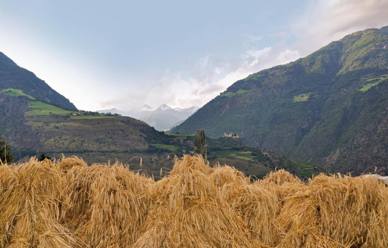 Gasthof Weisses Kreuz Naturns Exterior photo